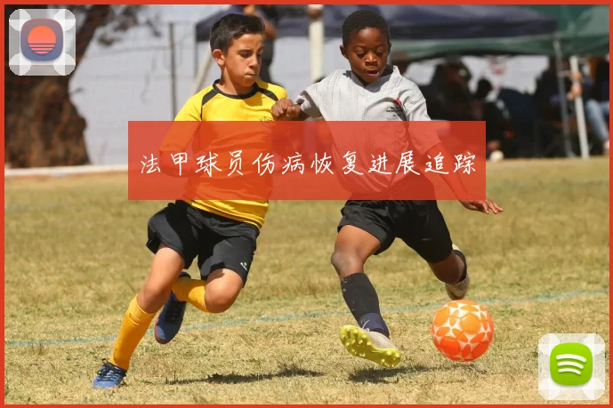 法甲球员伤病恢复进展追踪