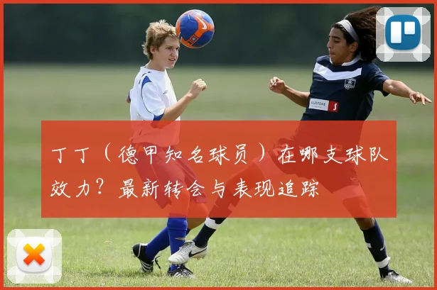 丁丁(德甲知名球员)在哪支球队效力?最新转会与表现追踪