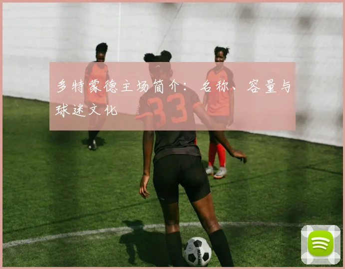 多特蒙德主场简介：名称、容量与球迷文化