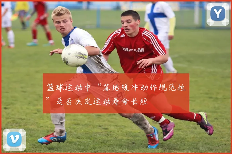 篮球运动中“落地缓冲动作规范性”是否决定运动寿命长短