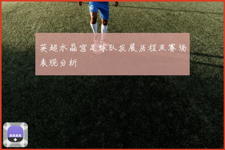英超水晶宫足球队发展历程及赛场表现分析