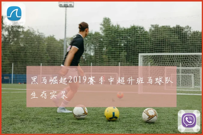 黑马崛起2019赛季中超升班马球队生存实录