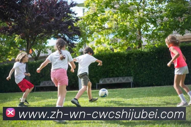 世界杯买球平台生态图